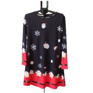 Christmas Santa Dress, Size: XL